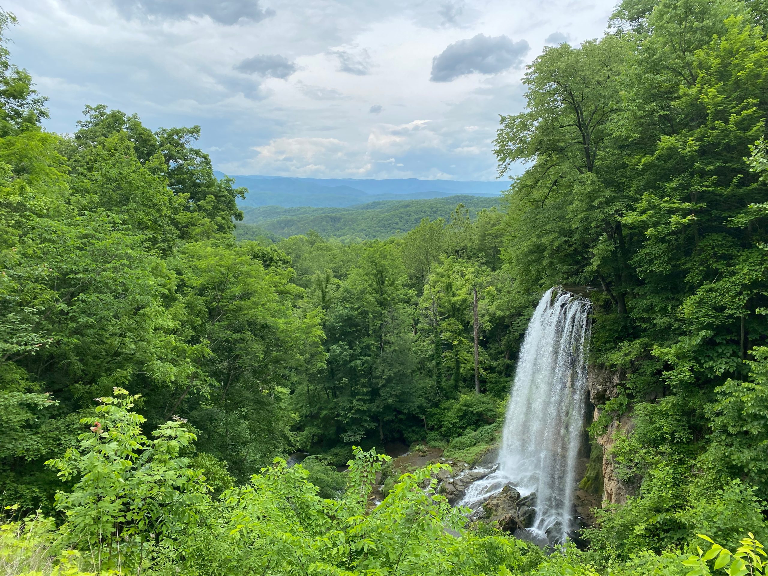 Waterfall surrounded by lush forest