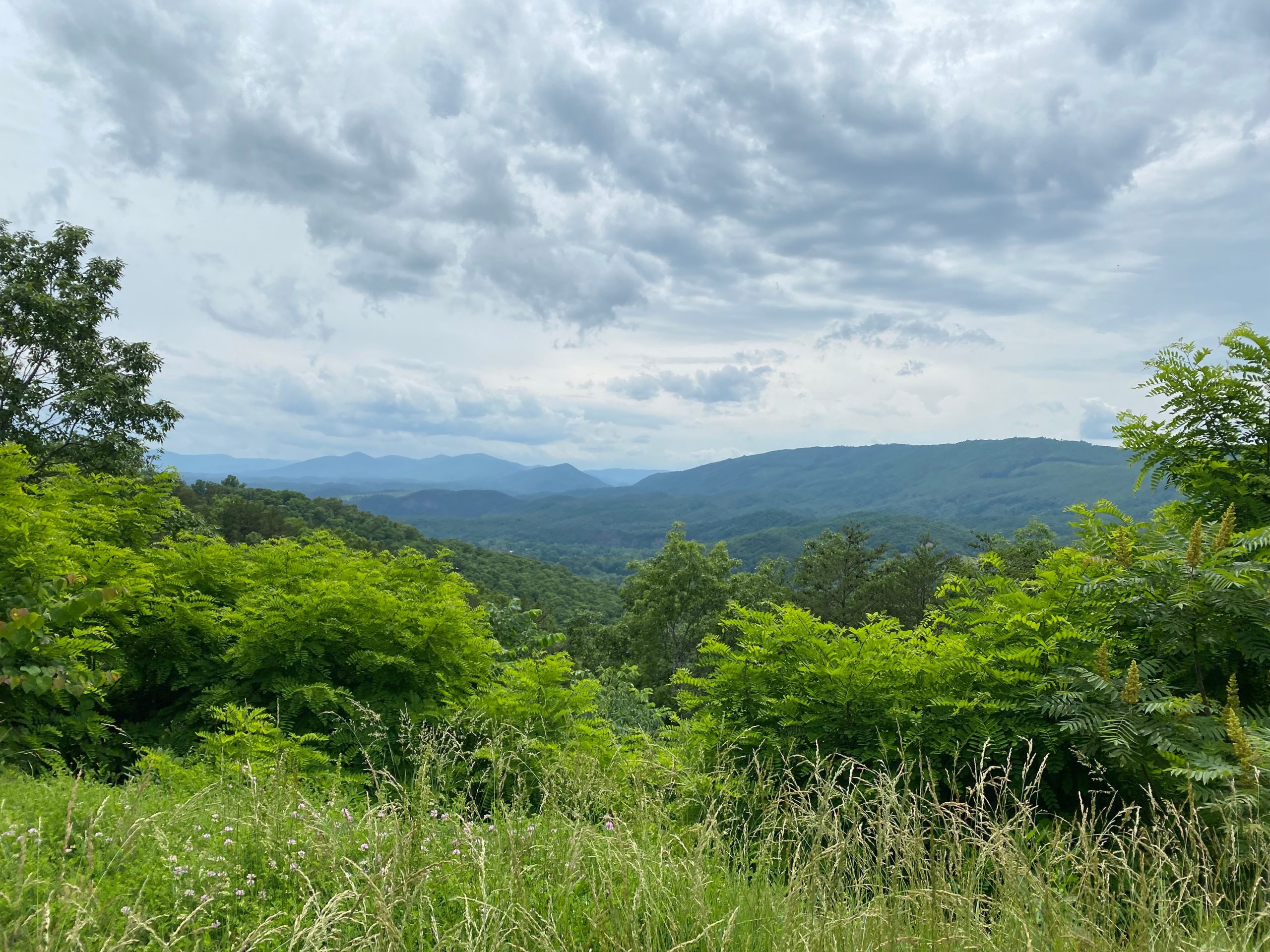 Mountain overlook with greenery and clouds