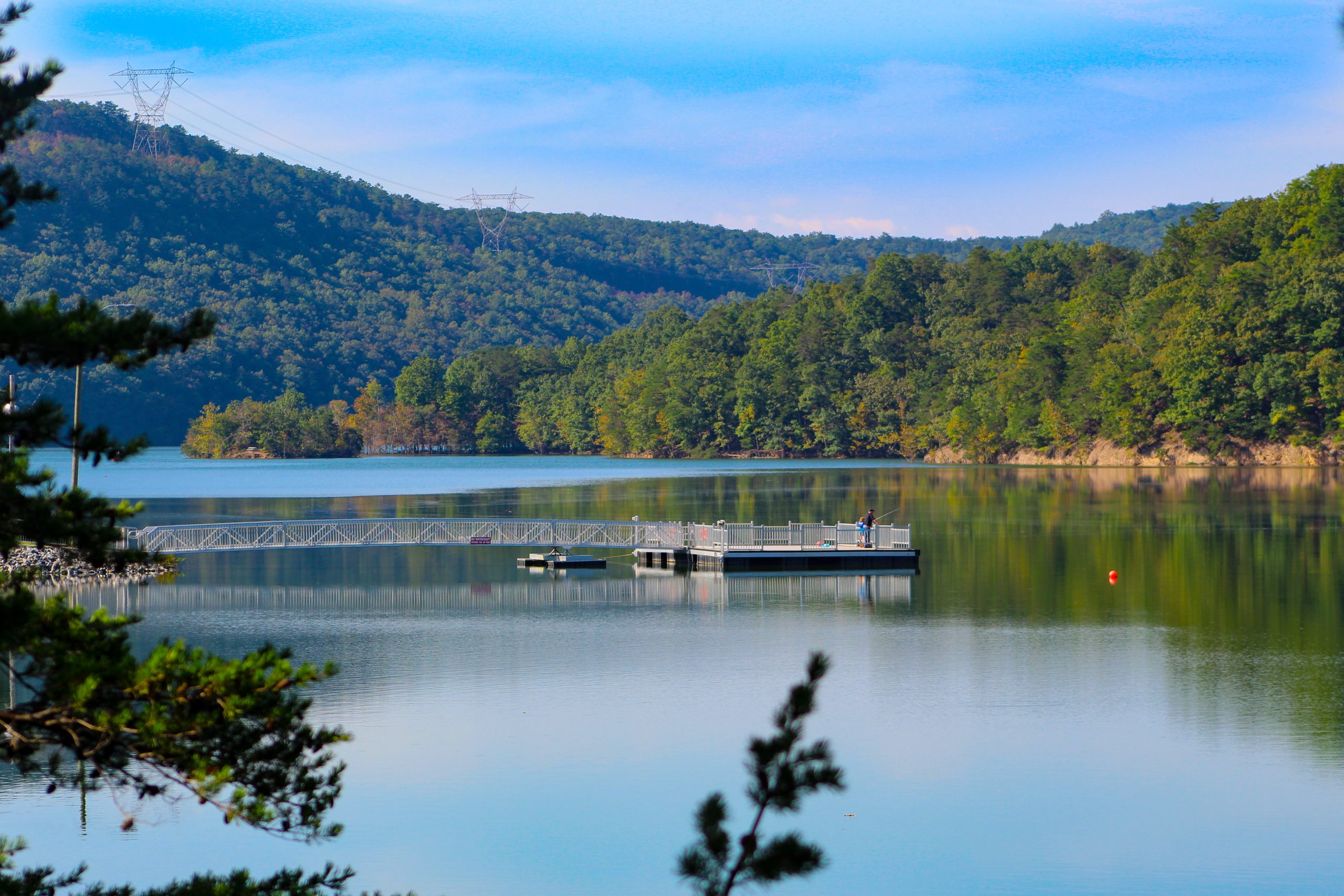 Calm lake surrounded by forest