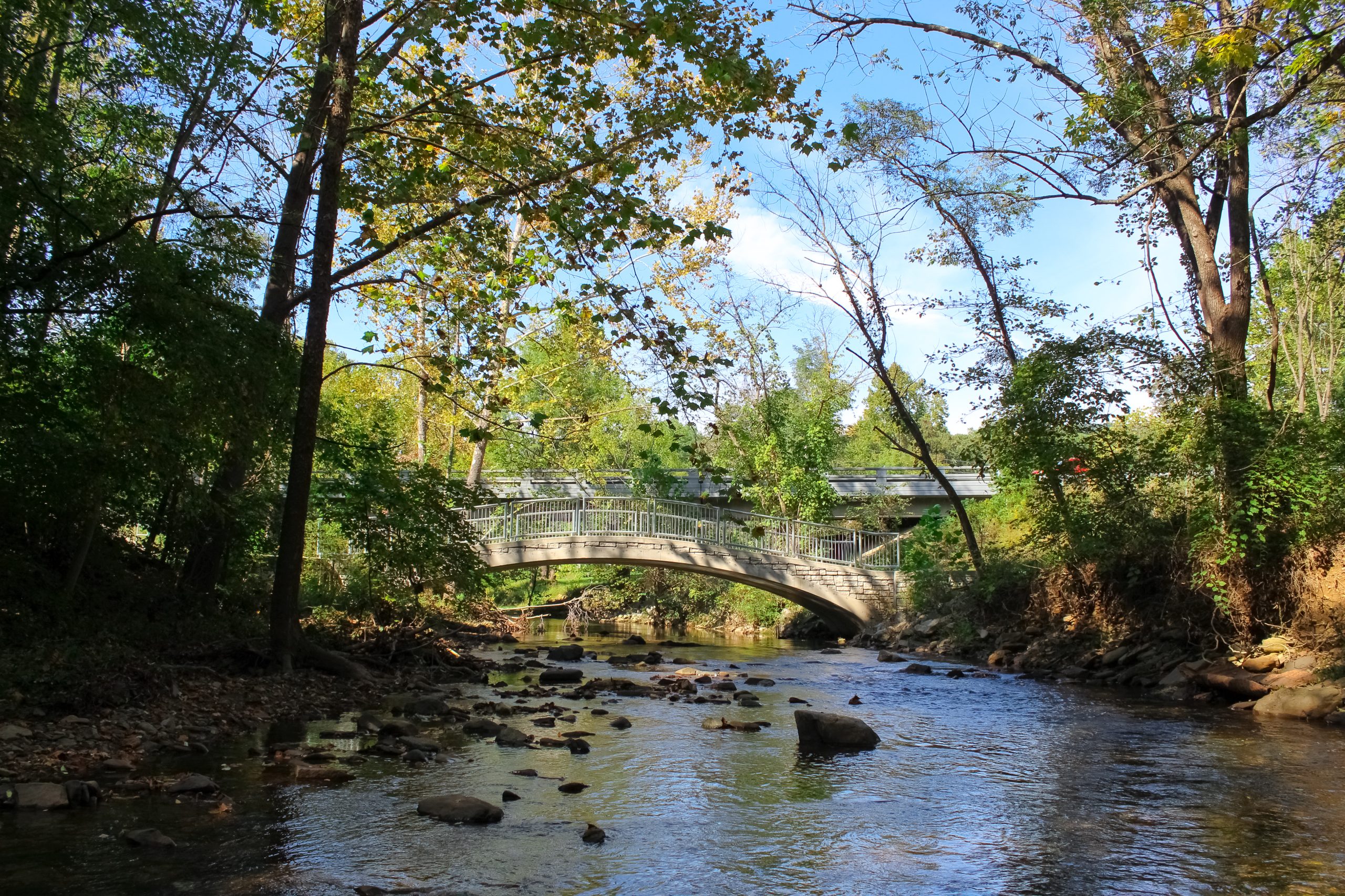 Stream flowing through wooded area