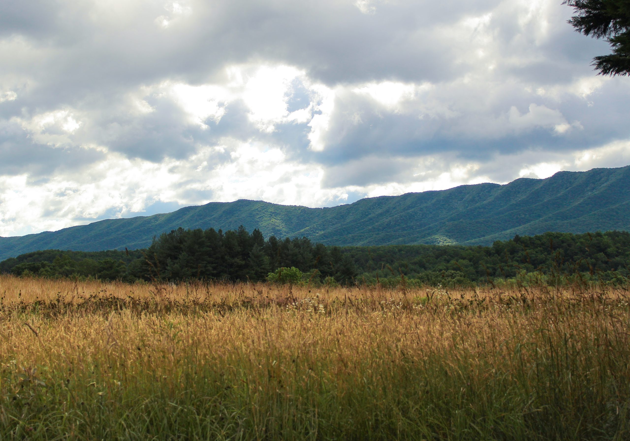 Mountain range under cloudy sky