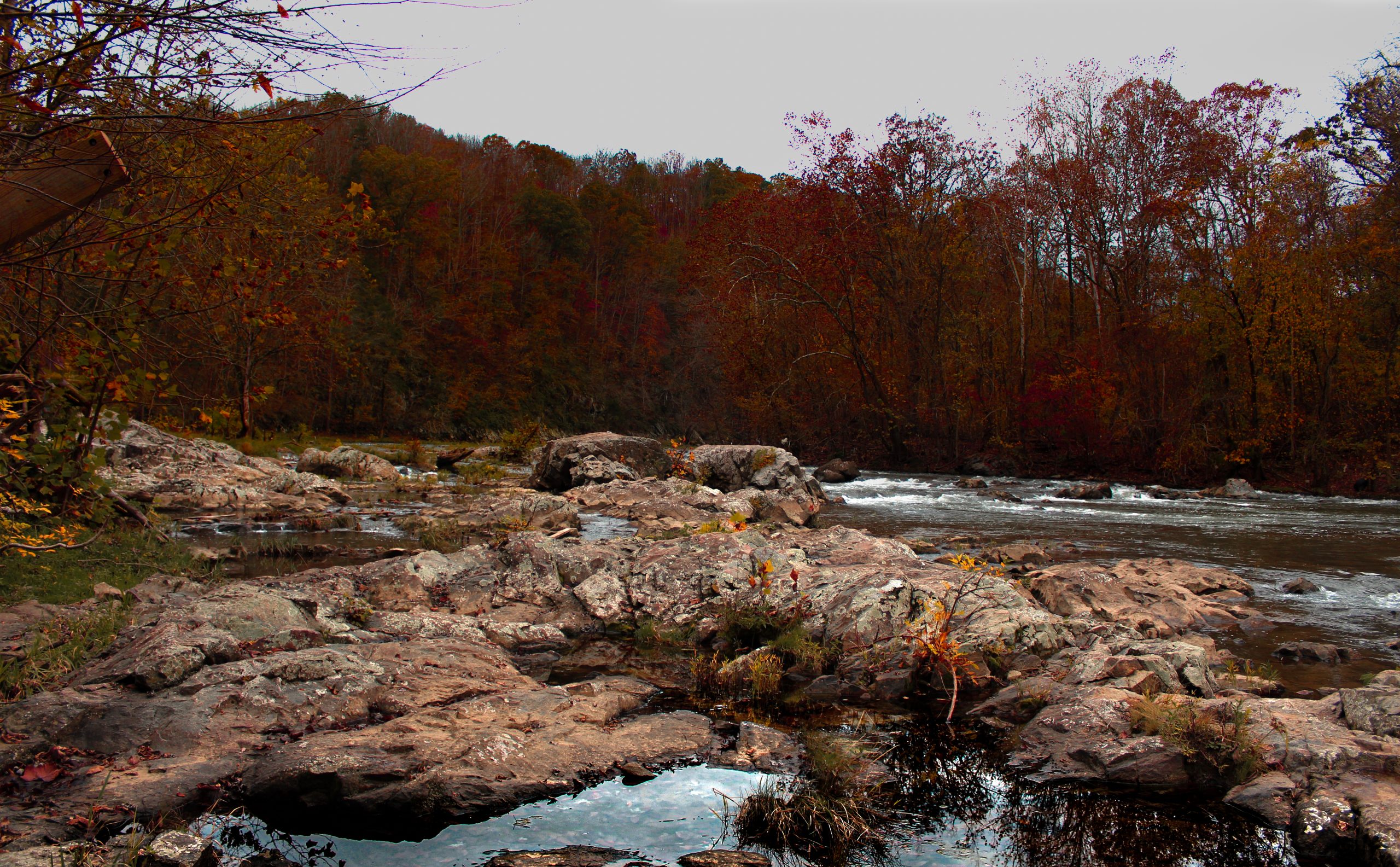 Rocky riverbed with autumn trees
