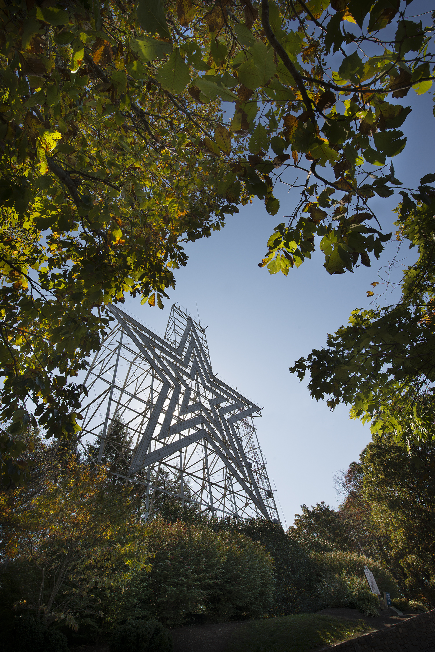 Transmission tower among trees with star on it